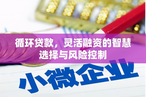 大足循环贷款，灵活融资的智慧选择与风险控制