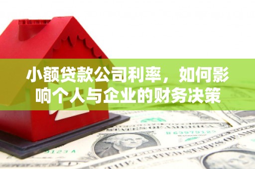 湖南小额贷款公司利率，如何影响个人与企业的财务决策