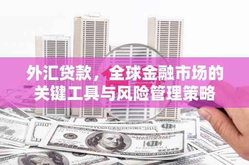 大兴安岭外汇贷款，全球金融市场的关键工具与风险管理策略