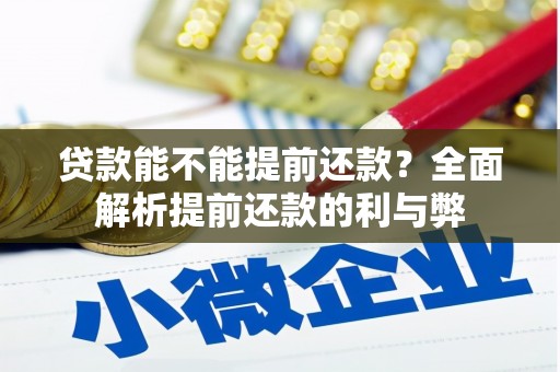 贵南贷款能不能提前还款？全面解析提前还款的利与弊