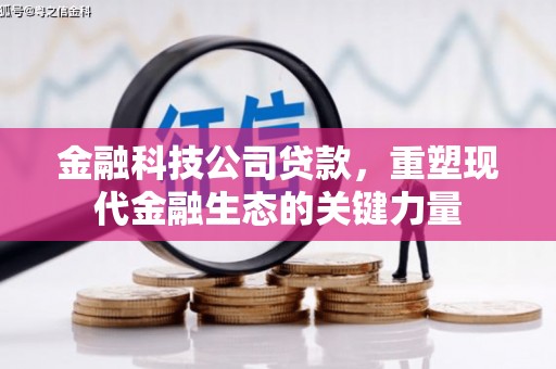 灵宝金融科技公司贷款，重塑现代金融生态的关键力量