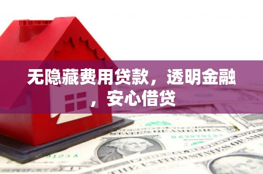 合山无隐藏费用贷款，透明金融，安心借贷