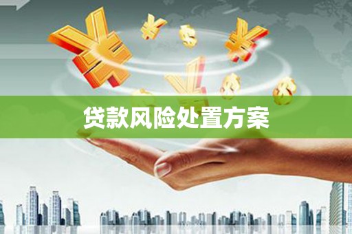 苍溪贷款风险处置方案