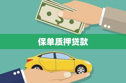 惠东保单质押贷款
