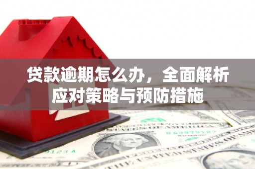 松溪贷款逾期怎么办，全面解析应对策略与预防措施