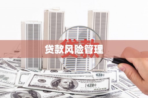 林西贷款风险管理