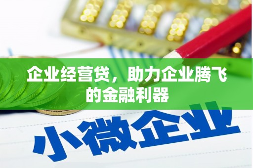 蒙城企业经营贷，助力企业腾飞的金融利器