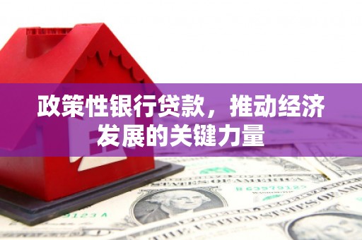波密政策性银行贷款，推动经济发展的关键力量