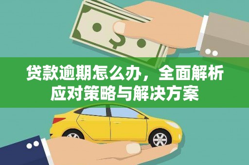 柞水贷款逾期怎么办，全面解析应对策略与解决方案