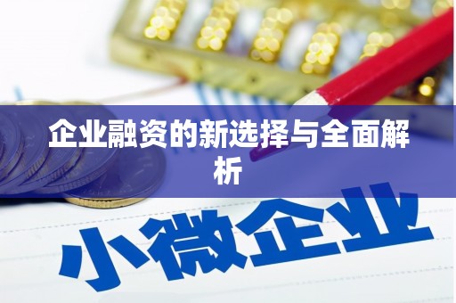 定海企业融资的新选择与全面解析