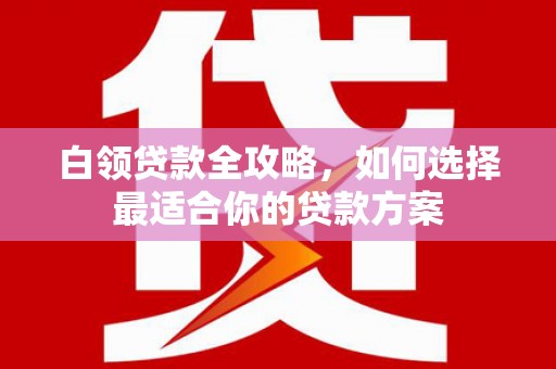 月湖白领贷款全攻略，如何选择最适合你的贷款方案
