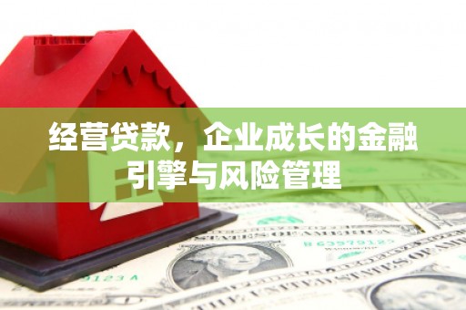 望城经营贷款，企业成长的金融引擎与风险管理